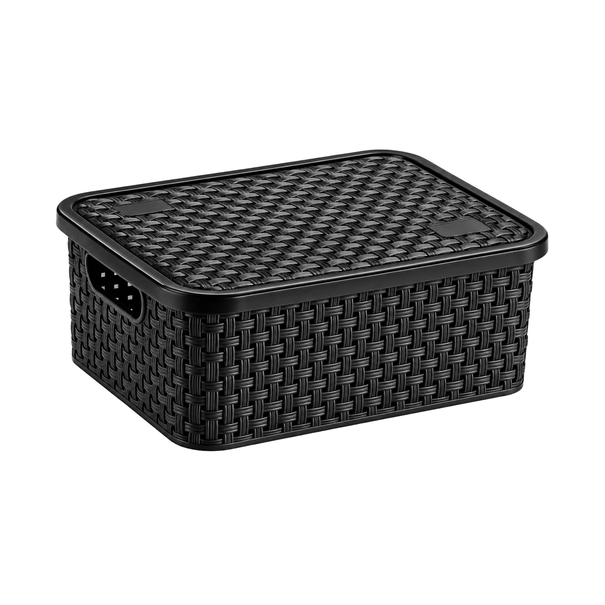 CESTO ORGANIZADOR RATTAN PP C/ TAMPA NITRON
